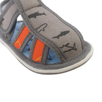 Canvas Sharks gris para infante